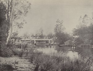 Undercliffe Bridge, Cooks River av English Photographer