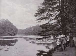 Wanstead Park av English Photographer