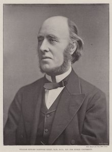 William Edward Hartpole Lecky, LLD, DCL, MP, for Dublin University av English Photographer