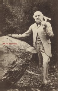 William Ewart Gladstone av English Photographer