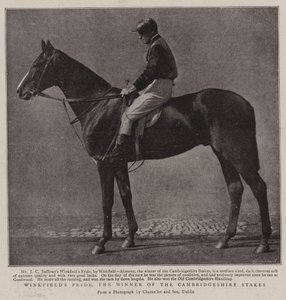 Winkfields Pride, vinneren av Cambridgeshire Stakes av English Photographer