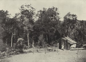 Woodcutter's Hut, Knysna (s/hvitt bilde) av English Photographer