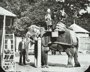 Zoological Gardens, Regents Park: elefant med voksne og barn på tur, London Zoo, 1894 av English Photographer