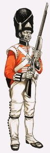 92. Fotgrenadier 1815 av English School