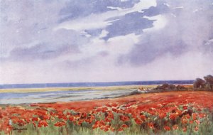 Et valmuefelt (fargelitografi) av English School