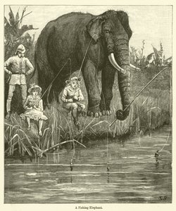 En fiskeelefant (gravering) av English School