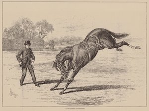 En sprø unggutt (gravering) av English School