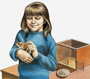En jente og hamsteren hennes av English School