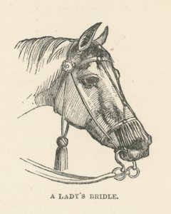 En damehodelag (gravering) av English School