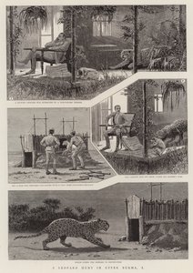 En leopardjakt i Øvre Burma, I (gravering) av English School