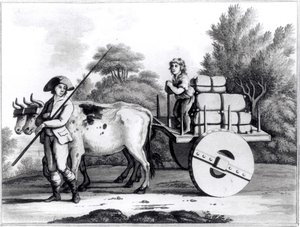 Eine portugiesische Farm, aus A General View of the State of Portugal von James Murphy, veröffentlicht 1797