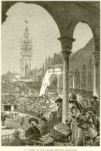 A Ticket in the Shade.--Sevilla oksearenaen