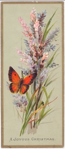 Et viktoriansk julekort av en sommerfugl blant høyt gress, ca. 1880 av English School