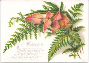 Et viktoriansk julekort med en spray av bregner, ca. 1880 av English School
