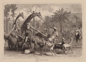 En quot;zoologisk luftingquot; (gravering) av English School