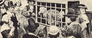 En dodo som blir stilt ut i England fra det syttende århundre (litho) av English School