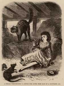 En kvinnelig Whittington, en liten jente reddet fra rotter av en favorittkatt (gravering) av English School