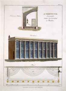 Et drivhus for John Elliott i Pimlico, London, 1806 av English School