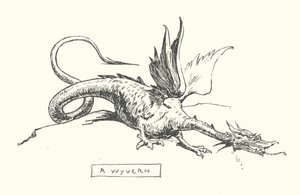 En wyvern (gravering) av English School