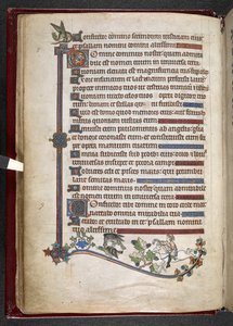 Legg til MS 24686, f.14v, Gutt på ponni med falkjaktende and, ca. 1284-1316 (vellum) av English School