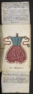 Legg til MS 57312 f.10 spillbok (blekk og farge på vellum) av English School