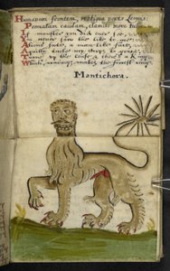 Legg til MS 57312 f11 spillbok (blekk og farge på pergament) av English School