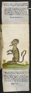 Legg til MS 57312 f.14 spillbok (blekk og farge på vellum) av English School