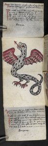 Legg til MS 57312 f.3 spillbok (blekk og farge på pergament) av English School