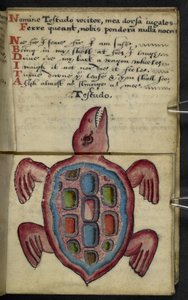 Legg til MS 57312 f.5 spillbok (blekk og farge på vellum) av English School