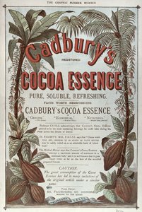 Annonse for Cadburys Cocoa Essence, fra The Graphic, 1878