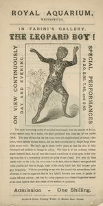 Werbung für den Leopardenjungen von English School