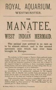Annonse for manaten av English School