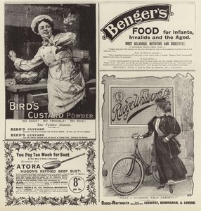 Reklame spredte seg fra The Graphic Christmas Number 1896 av English School