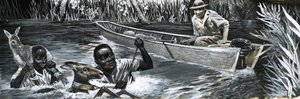 Afrikanere redder dyr av English School