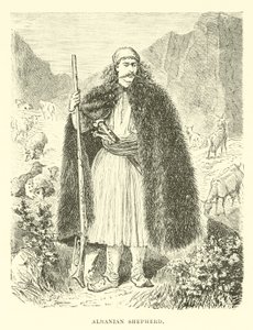 Albansk gjeter av English School