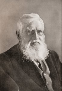 Alfred Russel Wallace, fra «Året» av English School