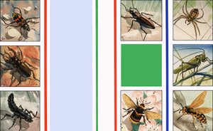 Alle slags insekter av English School