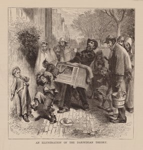 En illustrasjon av den darwinistiske teorien (gravering) av English School