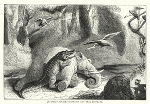 En indisk jungel, alligator og død elefant (gravering) av English School