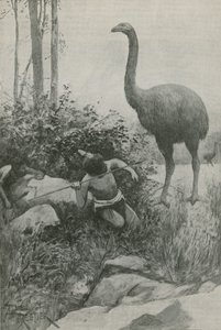 En utdødd innbygger i New Zealand av English School