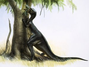 Anatosaurus av English School