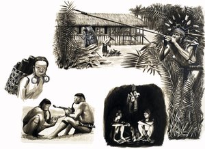 Ancient Peoples of the World: Blowpipe Hunters of Borneo av English School