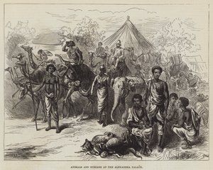 Dyr og nubiere ved Alexandra-palasset (gravering) av English School