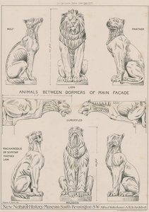 Dyr mellom kvistene på hovedfasaden til det nye Natural History Museum, South Kensington av English School