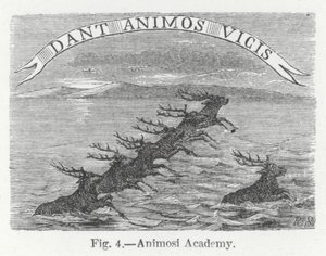 Animosi Academy (gravering) av English School