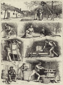 Apfelernte und Ciderherstellung in Devonshire von English School