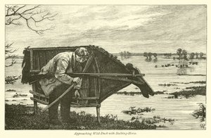 Annäherung an Wildenten mit einem Stalking-Pferd von English School