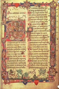 Arundel 83 f.14 Hjorter og fugler, fra Arundel Psalter, ca. 1310 (vellum) av English School