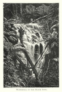 Australia: Foss i Black Spur (gravering) av English School