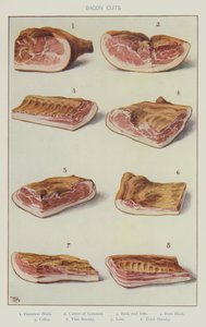 Baconsnitt (farge litho) av English School